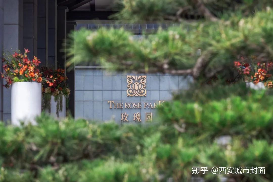 封面观察 | 四川邦泰在西安能否后来者居上? - 知乎