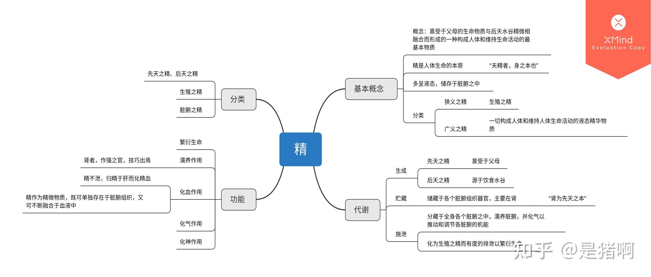 中医基础理论思维导图