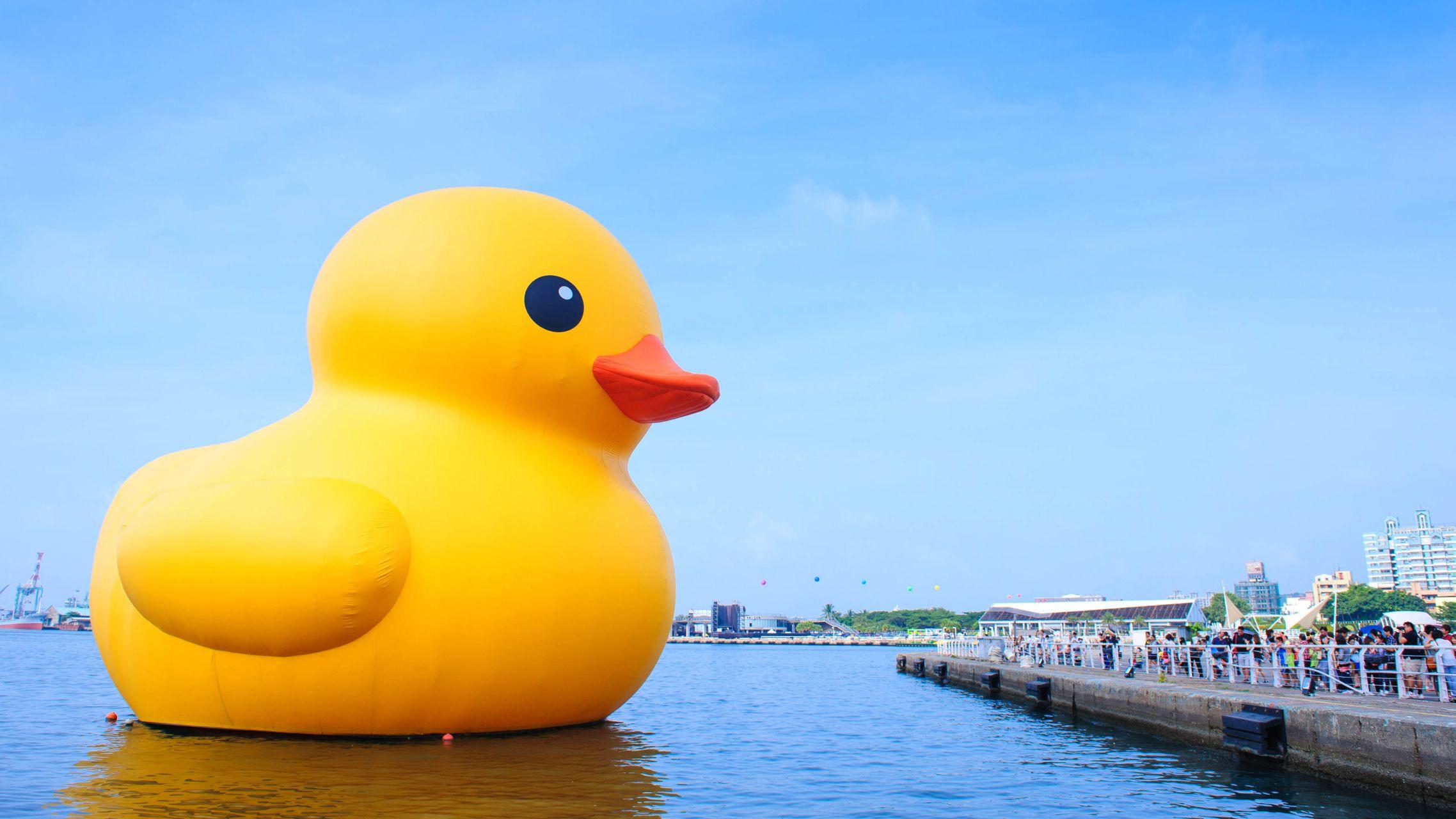 有哪些有趣的电脑壁纸值得分享?