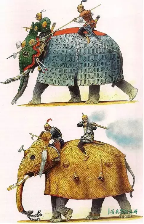 战象作为一种坐骑,相对于战马来说最大的劣势便是无法在人工养殖的