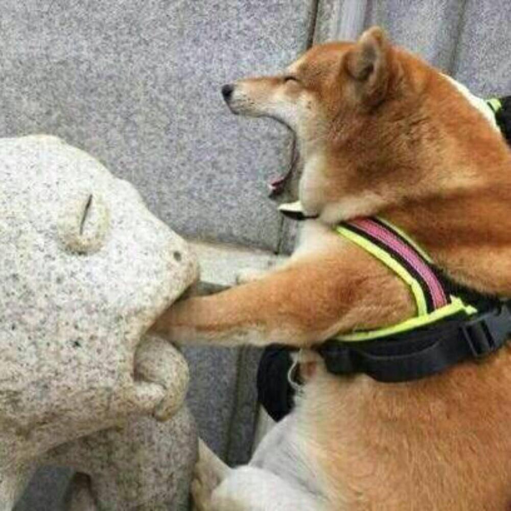 有没有好看并且沙雕的情头