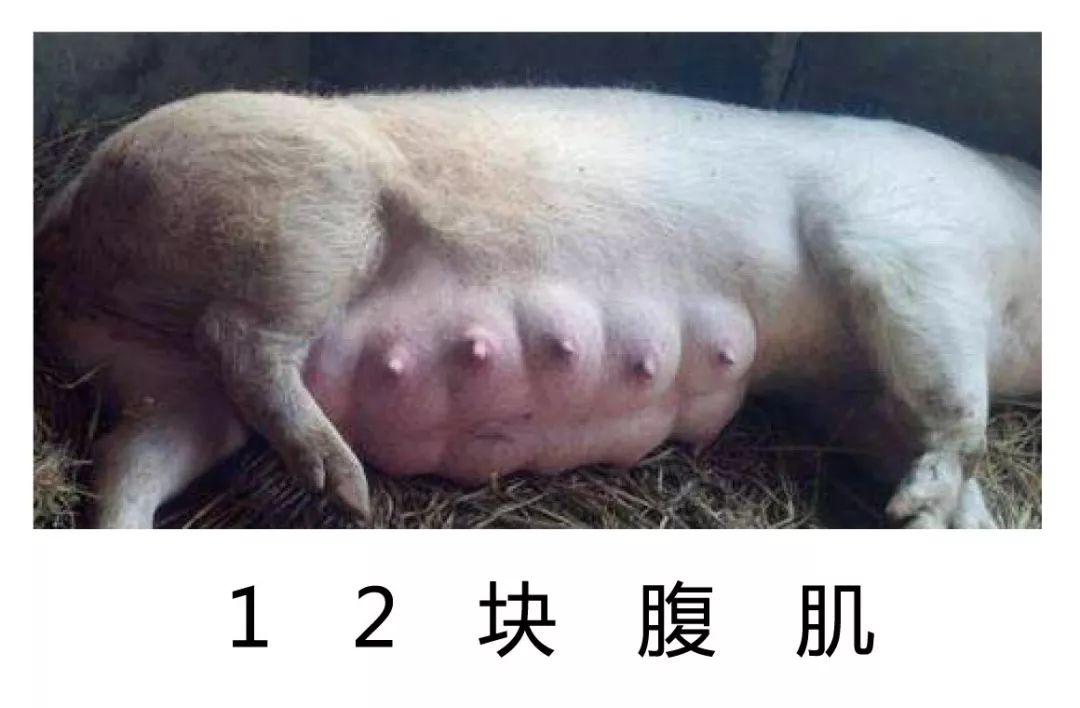 只要你用心体会生活处处都是惊喜表情包