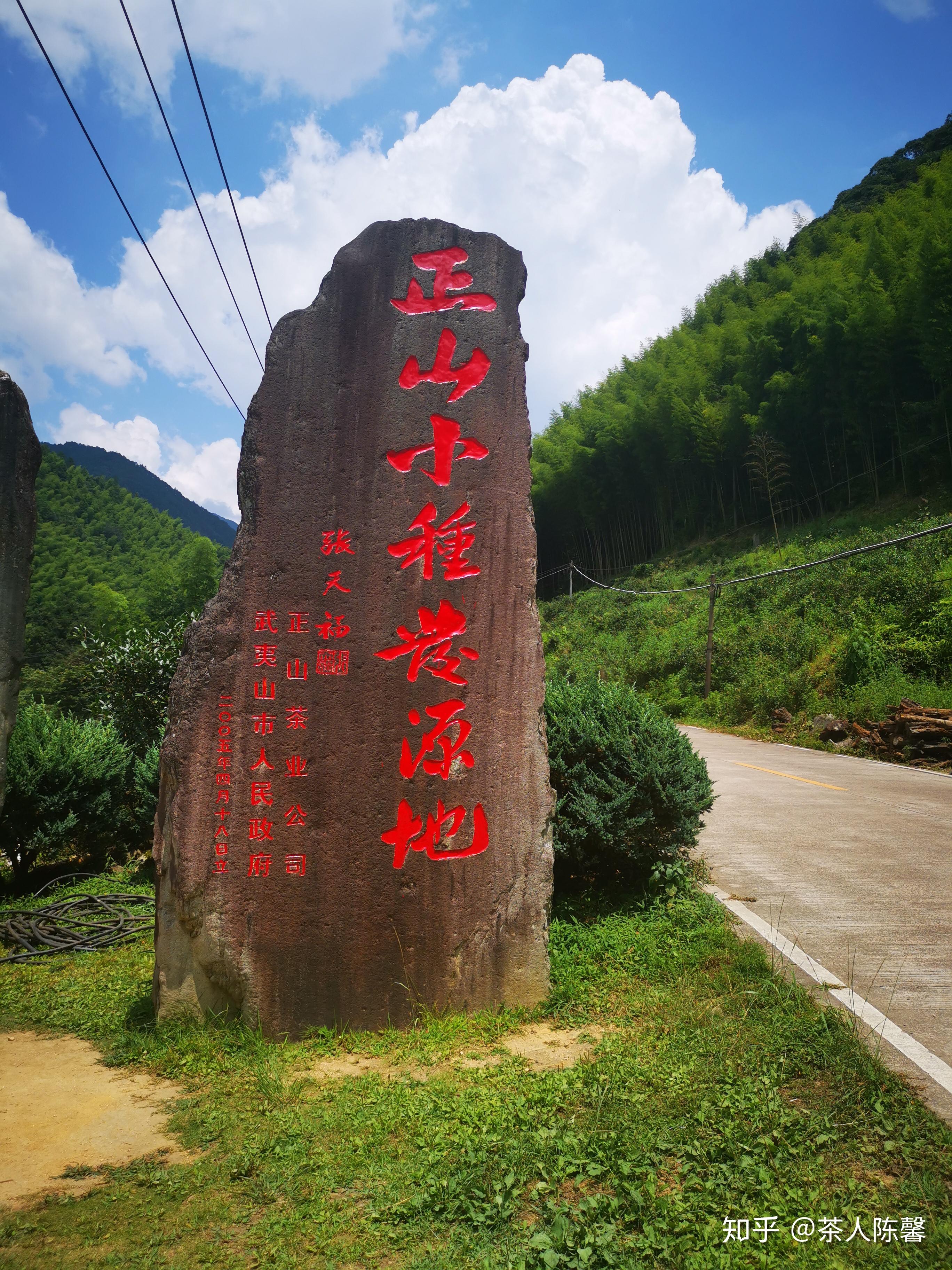 正山小种属于什么茶岩茶还是红茶