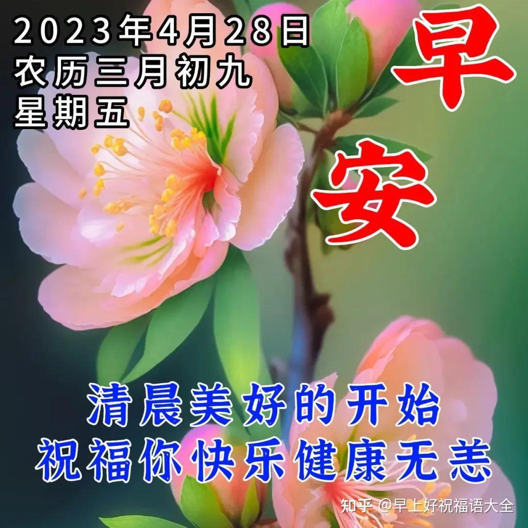 4月28日周五早上好暖心祝福语图片问候语 - 知乎