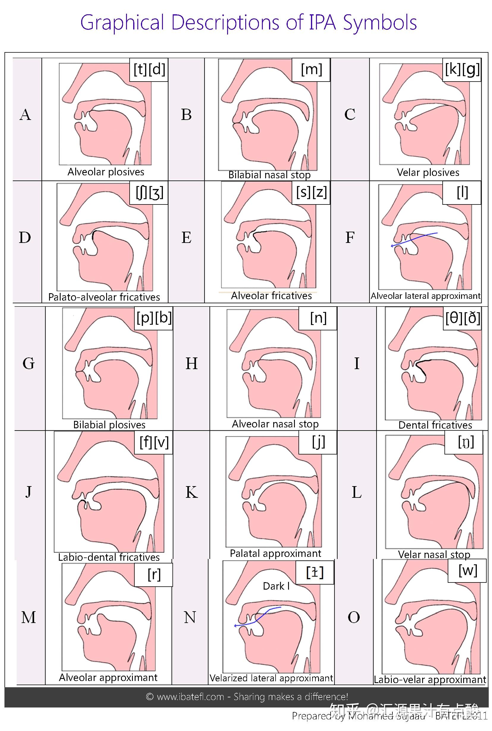 音标口型舌位图图片