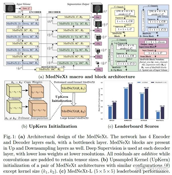 Nnunet mednext sota 