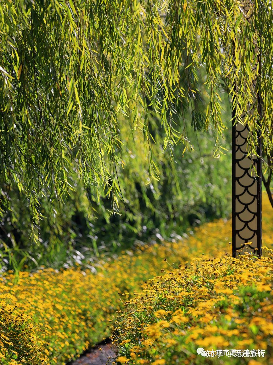 滇池草海隧道公园:秋日美景,游玩攻略!