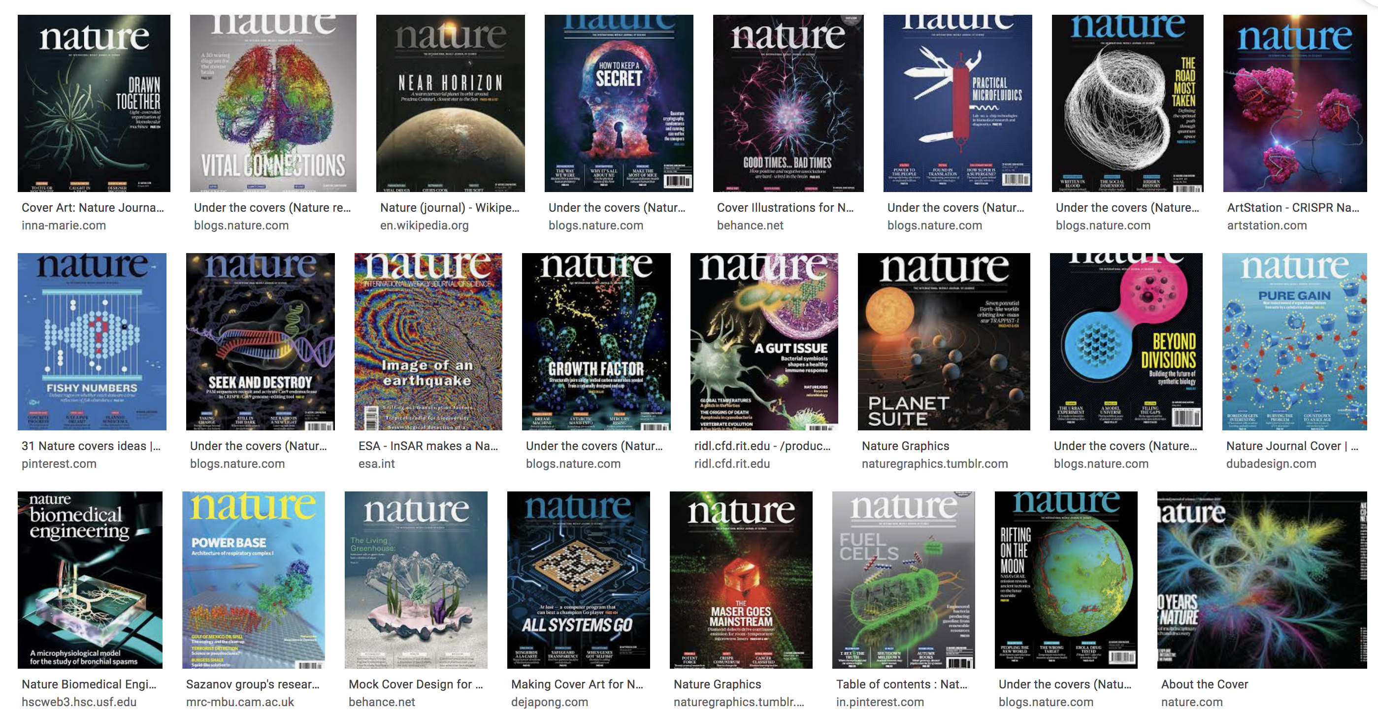经验分享丨如何用6天时间登上《nature》杂志封面? 
