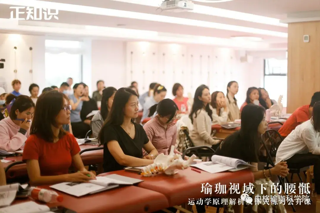 快来看看大家都学了什么好东西！ - 知乎