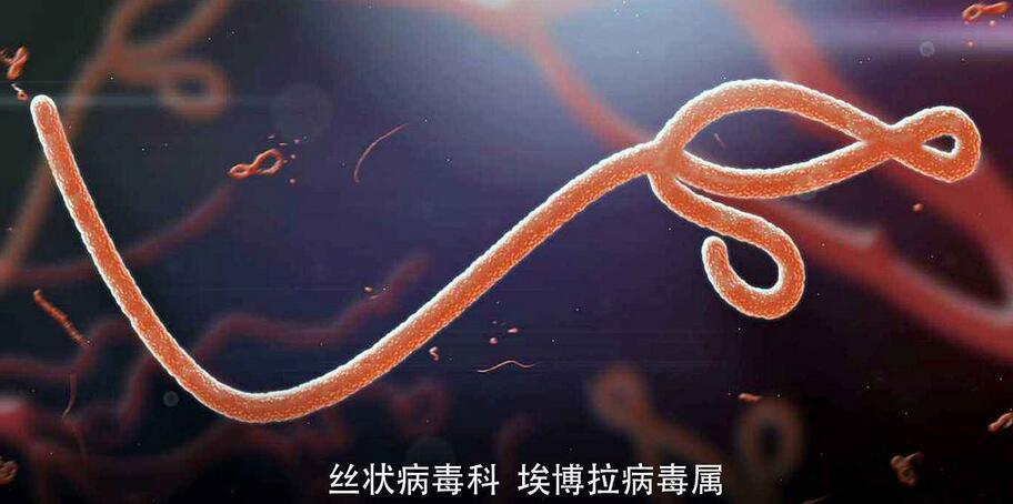 有料吐槽之异形契约