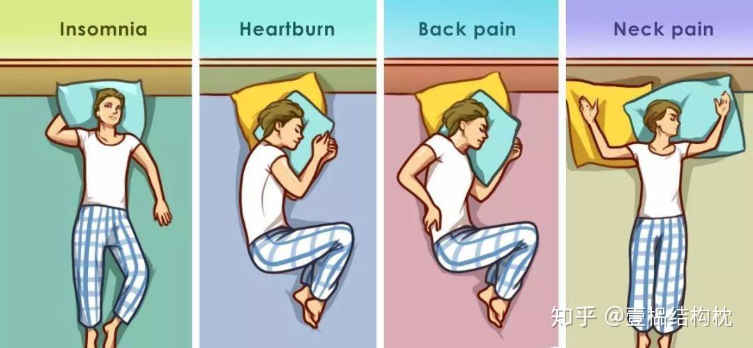 论睡姿的重要性 知乎