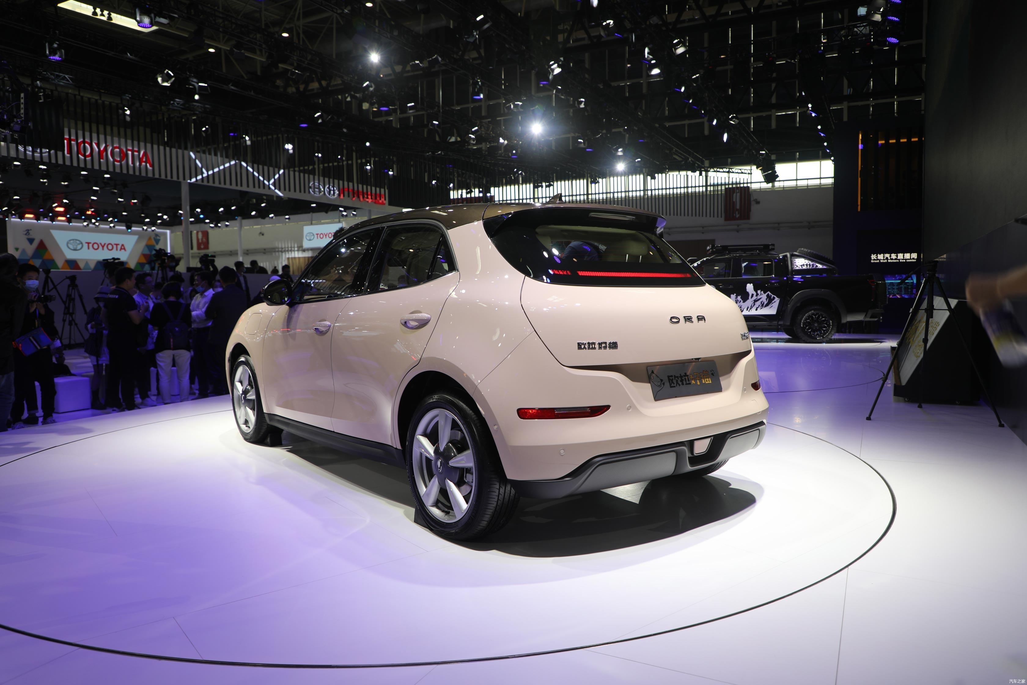 预售价10501450万元你想不想拥有这只好猫