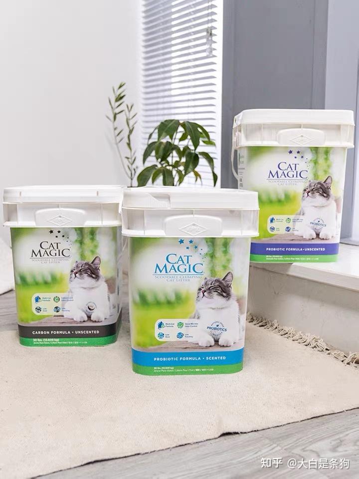 15款常用猫砂推荐