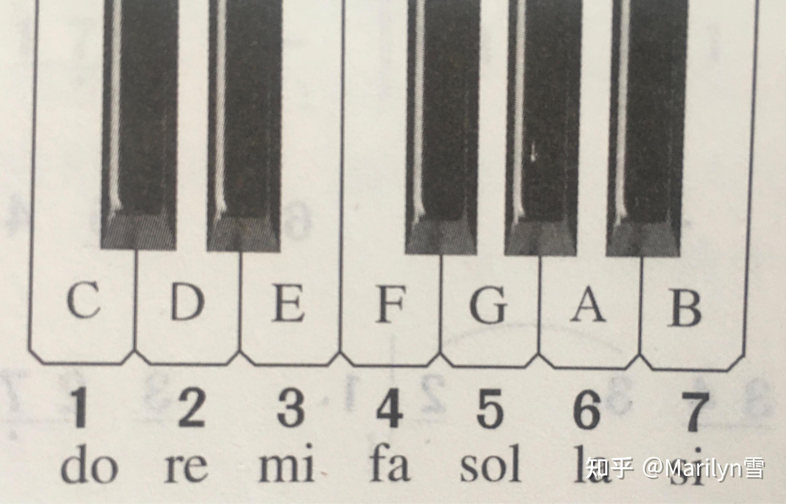 钢琴琴键识别图片