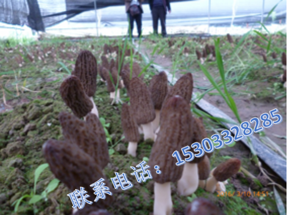 v2-ab2518f79762b18e0b0721c3dfccda84_1440w.jpg?source=172ae18b