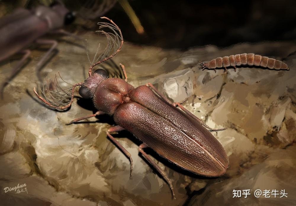 古生物新闻2021年1月18日1月31日