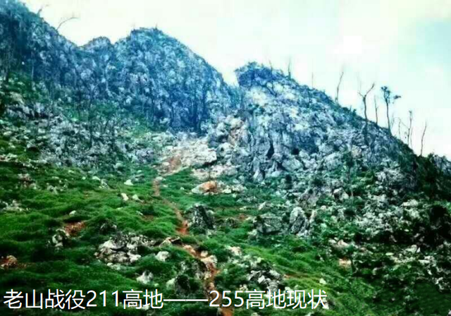 老山战场喊向我开炮的排长战后提连长当了大校本色不变