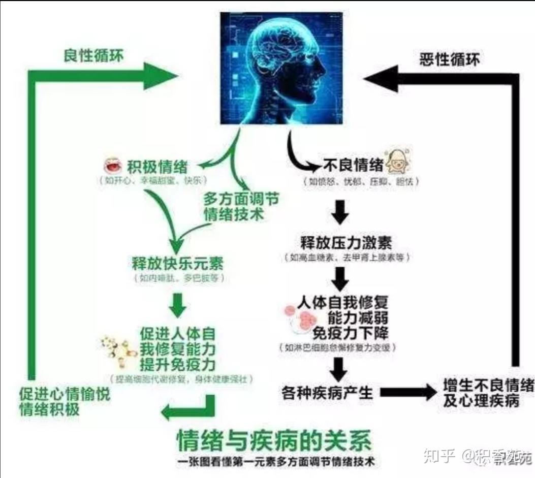 適量吃點巧克力,可提高腦內血清素濃度,而血清素愈多,就愈快樂.