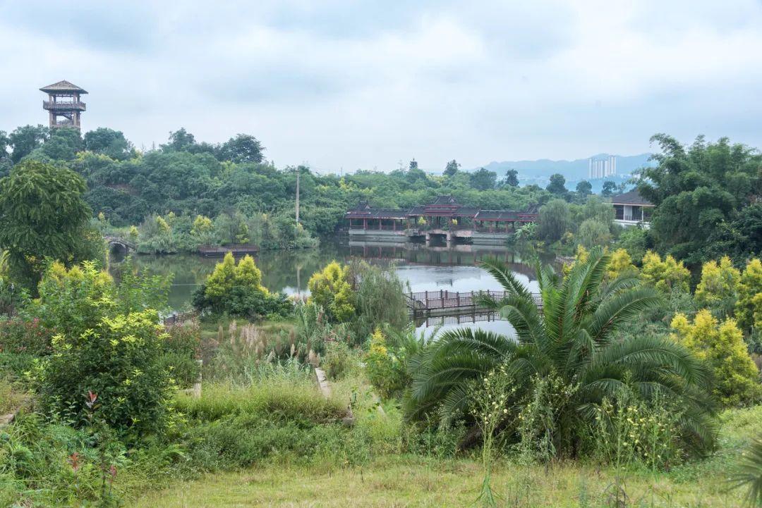 不是乌镇西塘!它才是最美的江南水乡,鲁迅都偏爱,还是国内最上头的城市