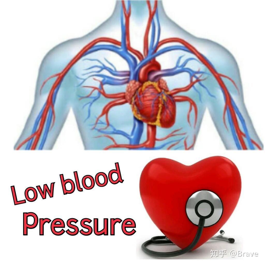 低血压如何处理美国梅奥诊所专家来科普
