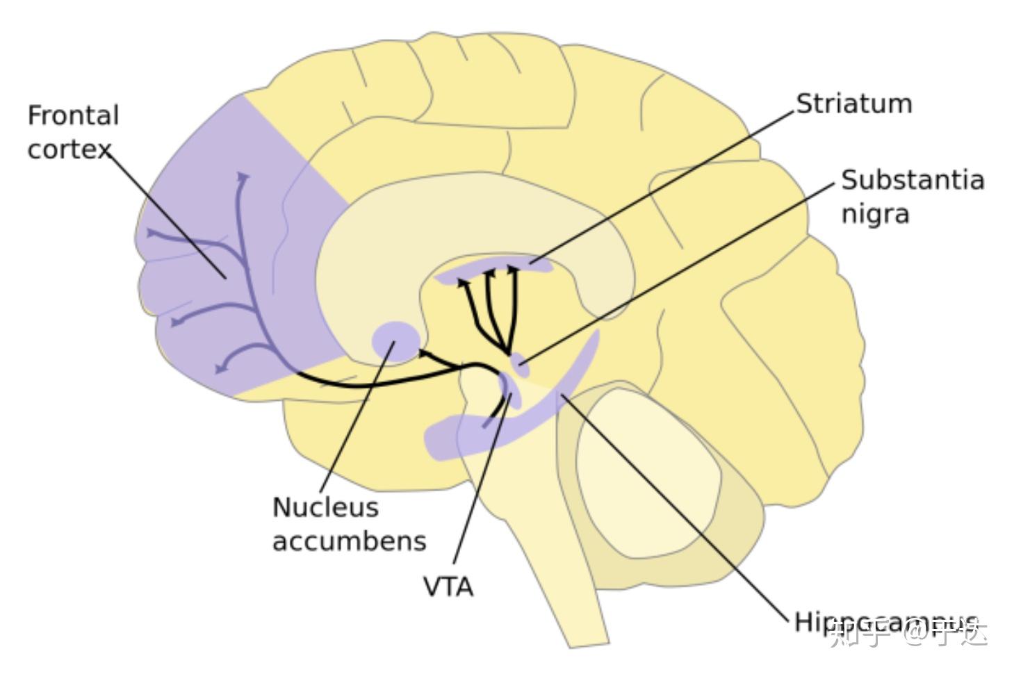 如何快速找对象