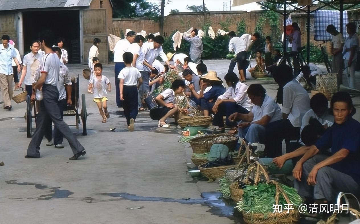 1991年,24岁北大诗人,毁稿后背着石子自沉,他到底经历了什么?