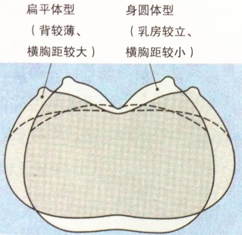 陪买青年指南|教男孩子♂学会陪买内衣只需三个步骤 - 知乎