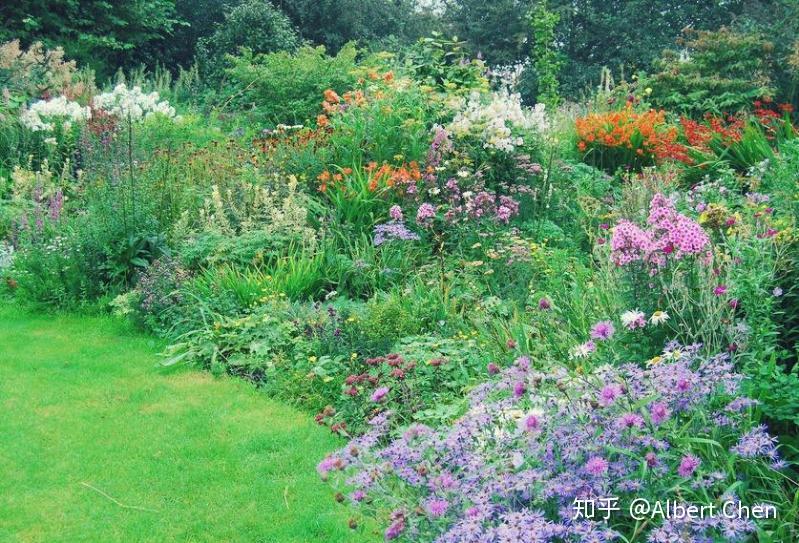 扫一扫识别植物动作 v2-ab5c5cd8bc49d1f87e07db6ea341c9a6_r.jpg