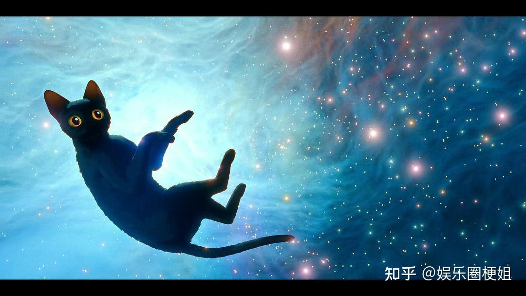 《猫猫的奇幻漂流》：没有一句台词，却治愈了所有观众！ 知乎