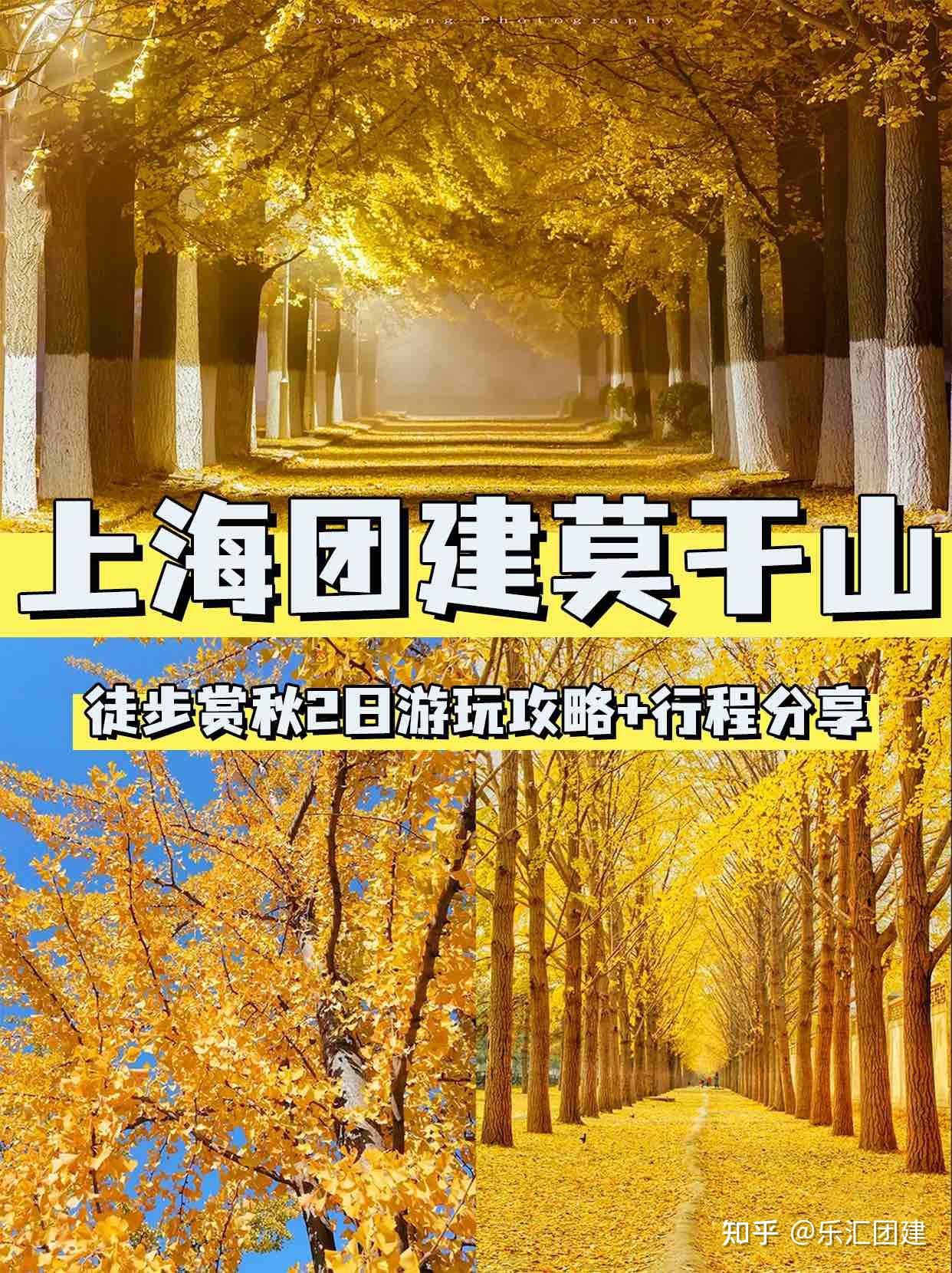 上海团建莫干山徒步赏秋2日游玩攻略+行程分享 知乎