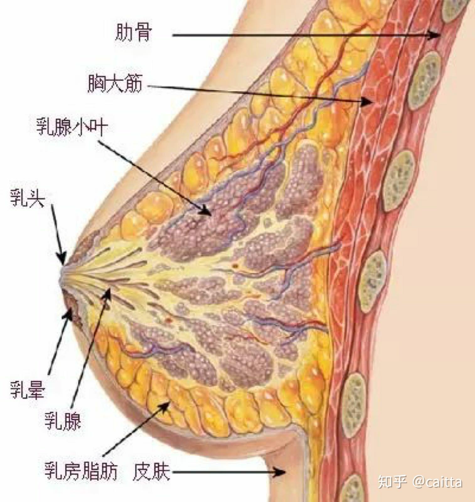 v2-ab67dbb9b502f7b21191865aa17a39f2_r.jpg