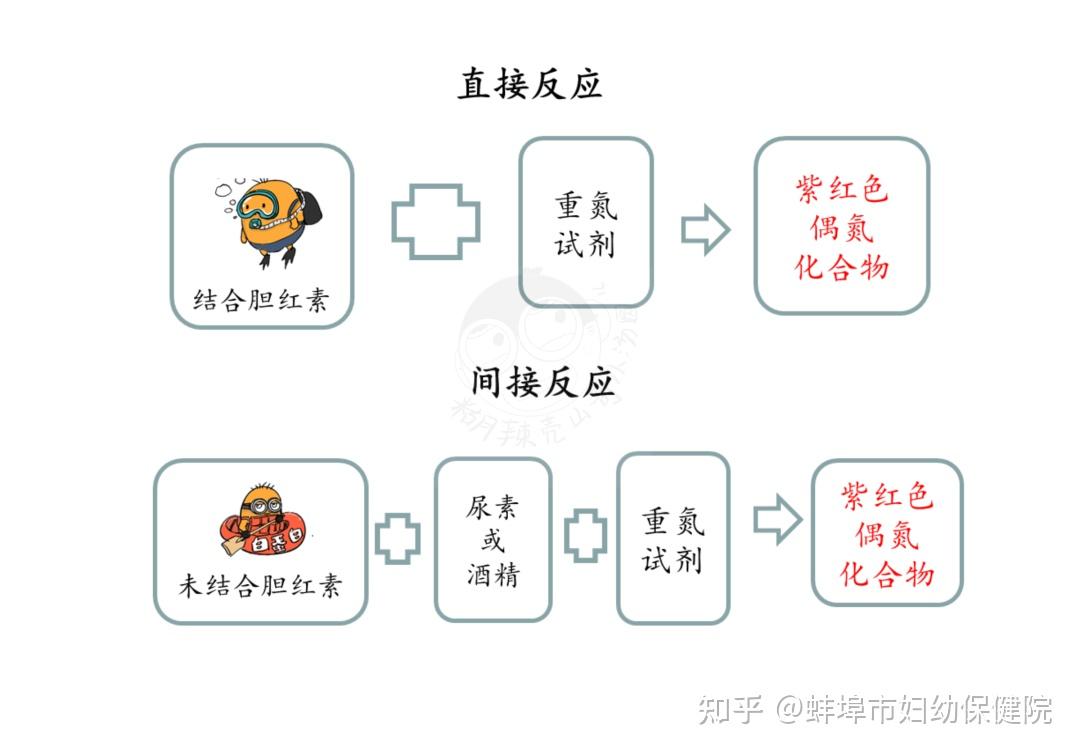 新生儿黄疸思维导图图片