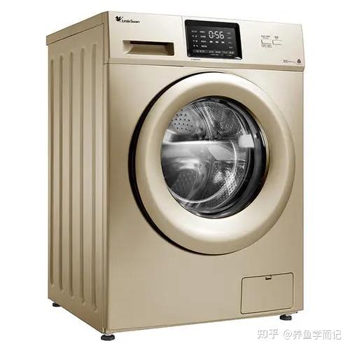 养鱼 困水_短鲷困水_龙纹短鲷水硬度