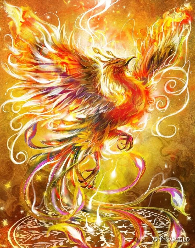 中国神鸟——浑身冒火的朱雀 - 知乎