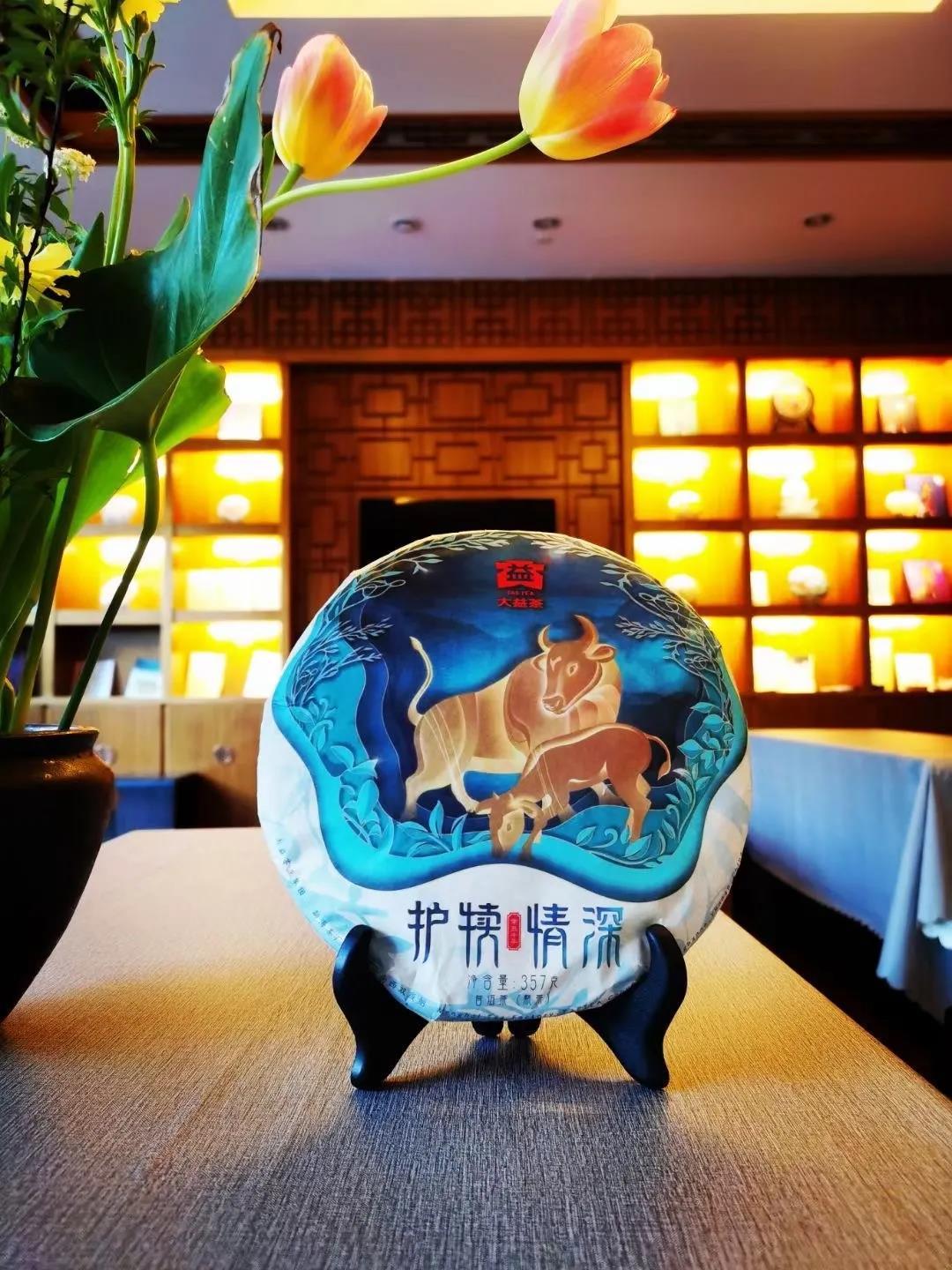 官宣大益牛饼2101护犊情深开汤品鉴