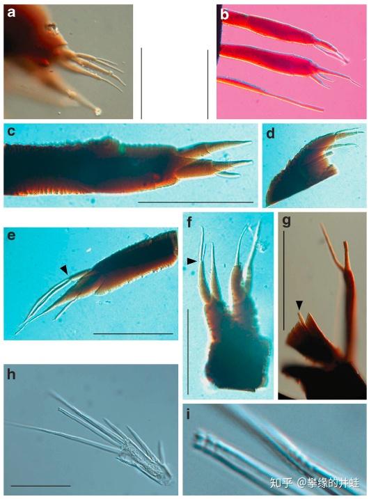 【地球演义】大冰河 - 知乎