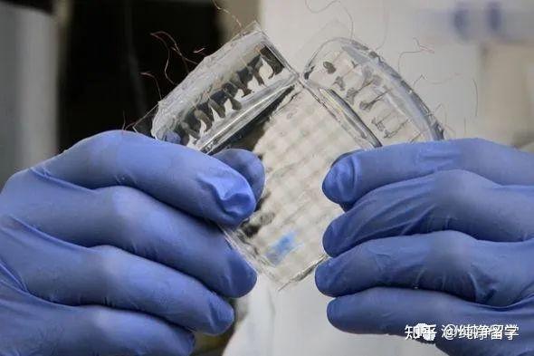 曹德旺等25名科学家企业家联署呼吁