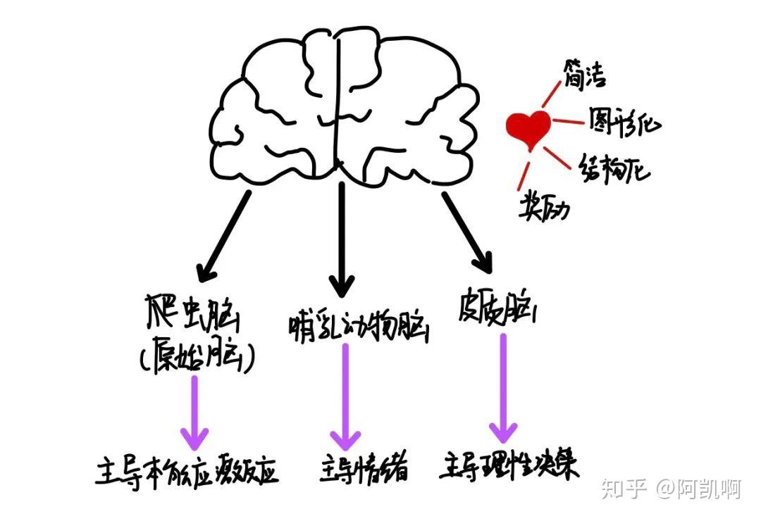 1,大脑的三个层次与偏好一,了解大脑接下来是阅读笔记首先是全书的