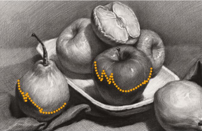 初学素描一定要理解明暗交界线的绘画方法