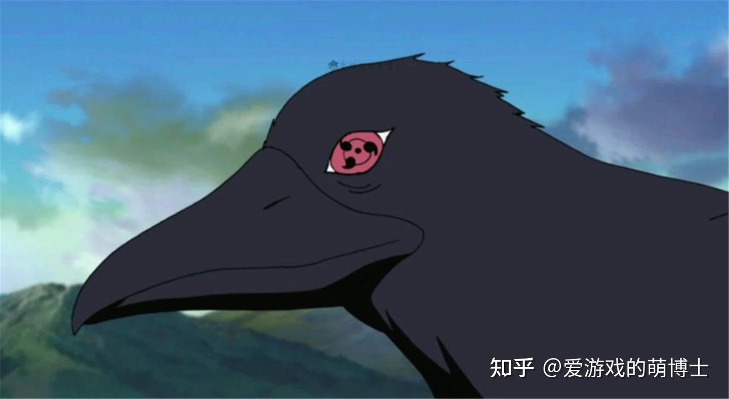 《火影忍者》别天神再现？南美鸟类自带写轮眼，网友：宇智波一族 - 知乎