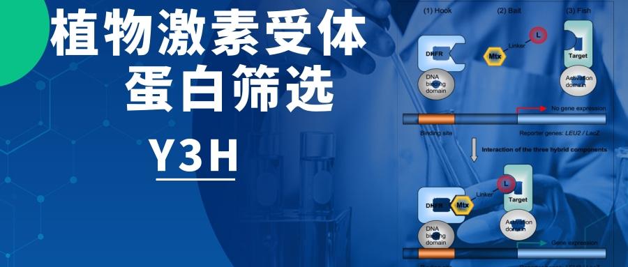 生物科研重要性 v2-abbbe31c0829392a84db8122aa4c66e5_1440w.jpg?source=172ae18b