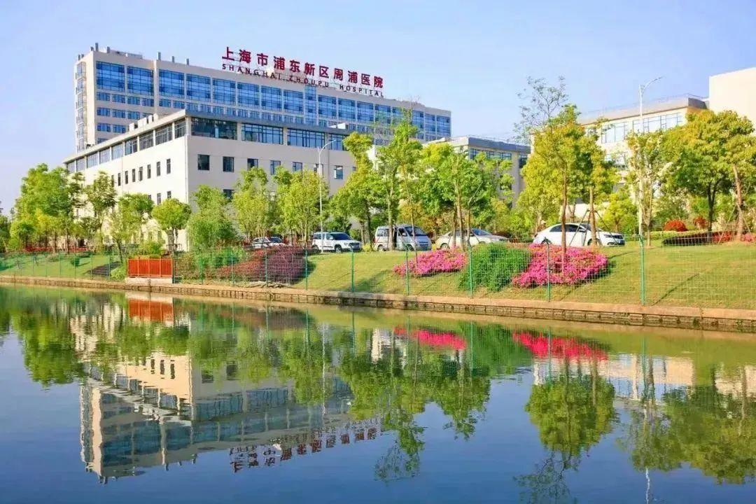 浦东周浦终于有新房了!「金桥周浦项目」户型分析+楼间距来了,最快上半年入市! - 知乎