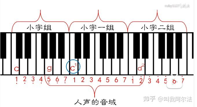 小字一组c图表图片