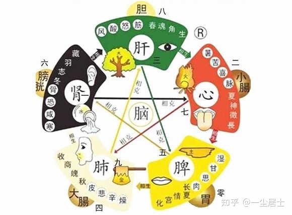 五行关系及象意 - 知乎