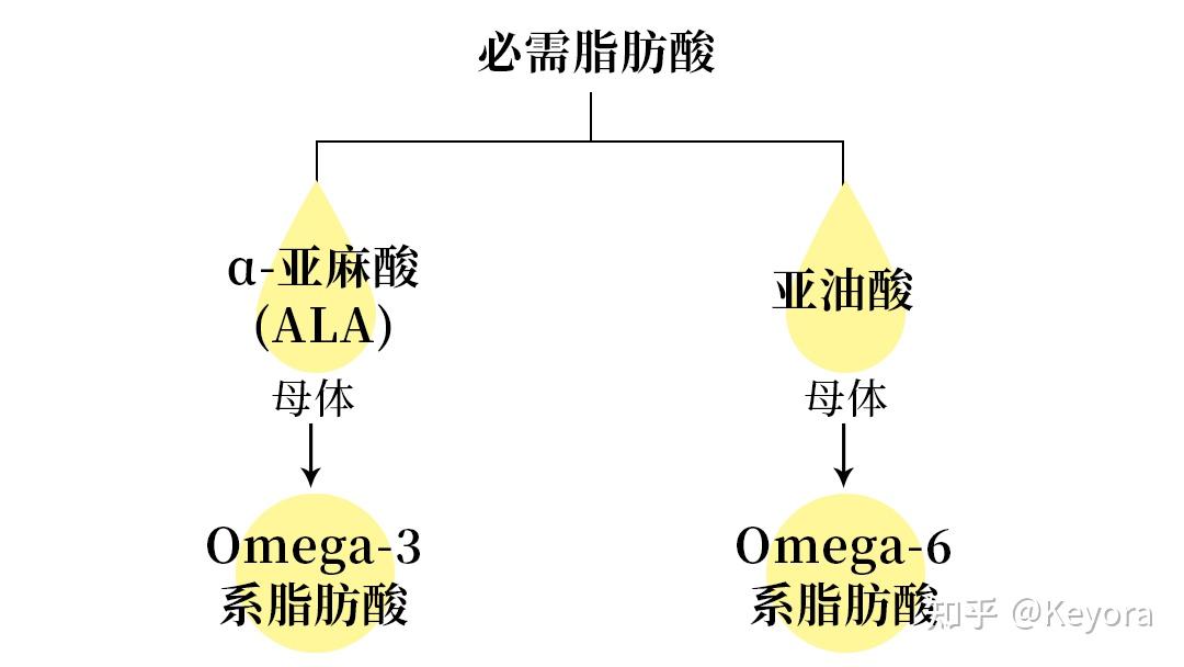 漫谈- 心脑血管疾病人群 的 膳食营养素摄入建议 - 知乎