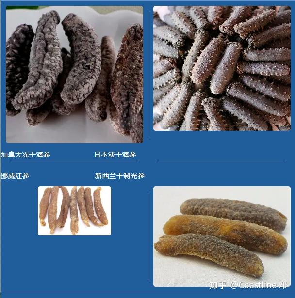 全球海参共有1400多个品种,已发现可食用的300多种,其中的优良品种