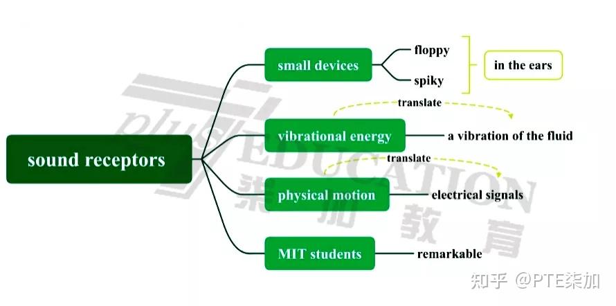 Sound Receptor 七炸小课堂01节 | SST模版分享,高频题讲解分析 - 知乎