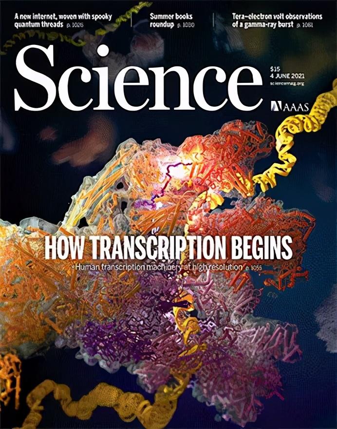 复旦大学团队论文登science封面!基因转录揭示最核心生命过程,施一公