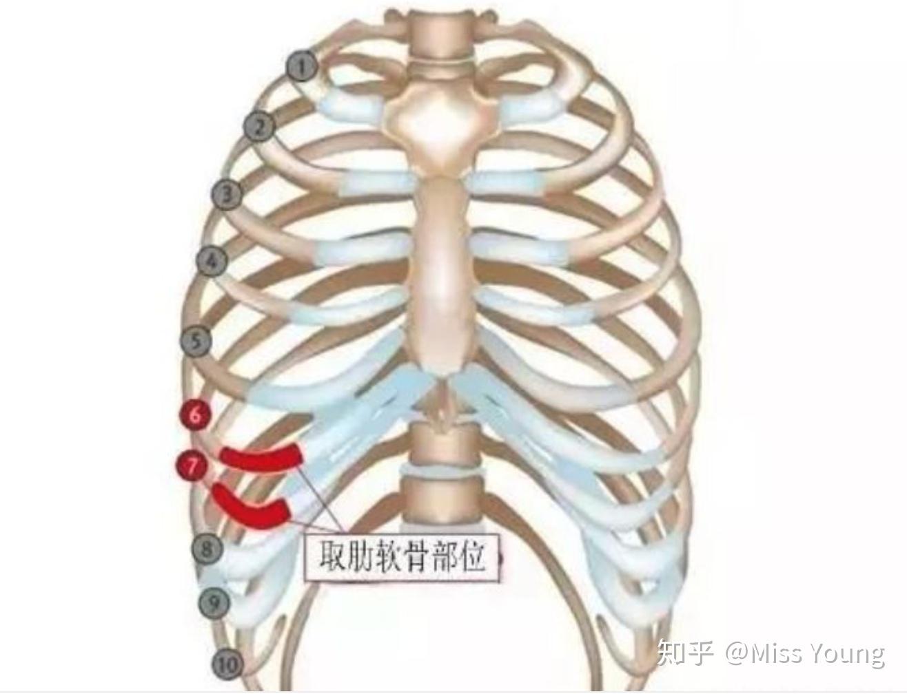 一 骨骼-胸部X线影像学图鉴-医学