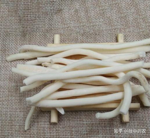105、通草传统鉴别方法(附 小通草) - 知乎